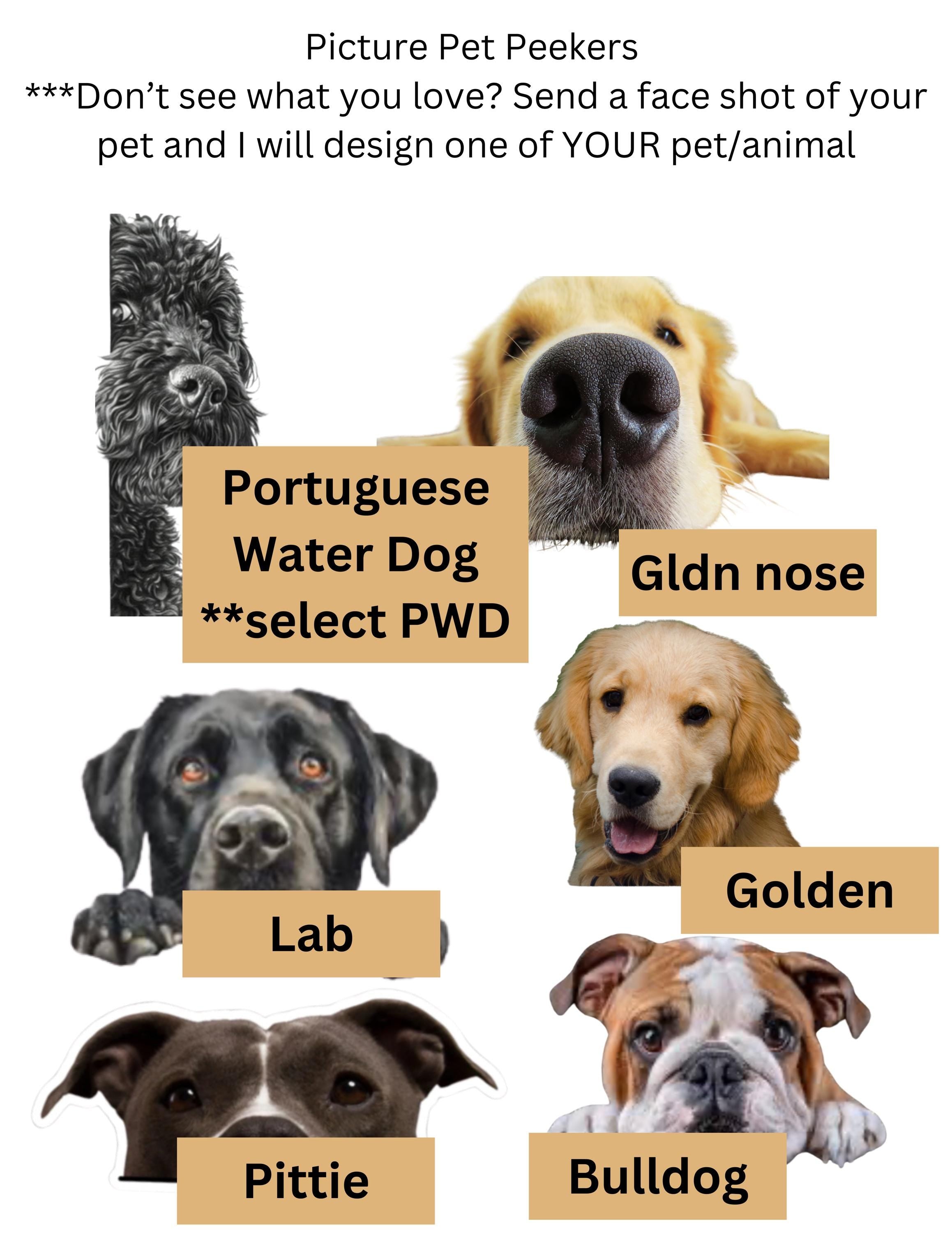 Pet Peekers sticker or magnet.  For that pet lover!