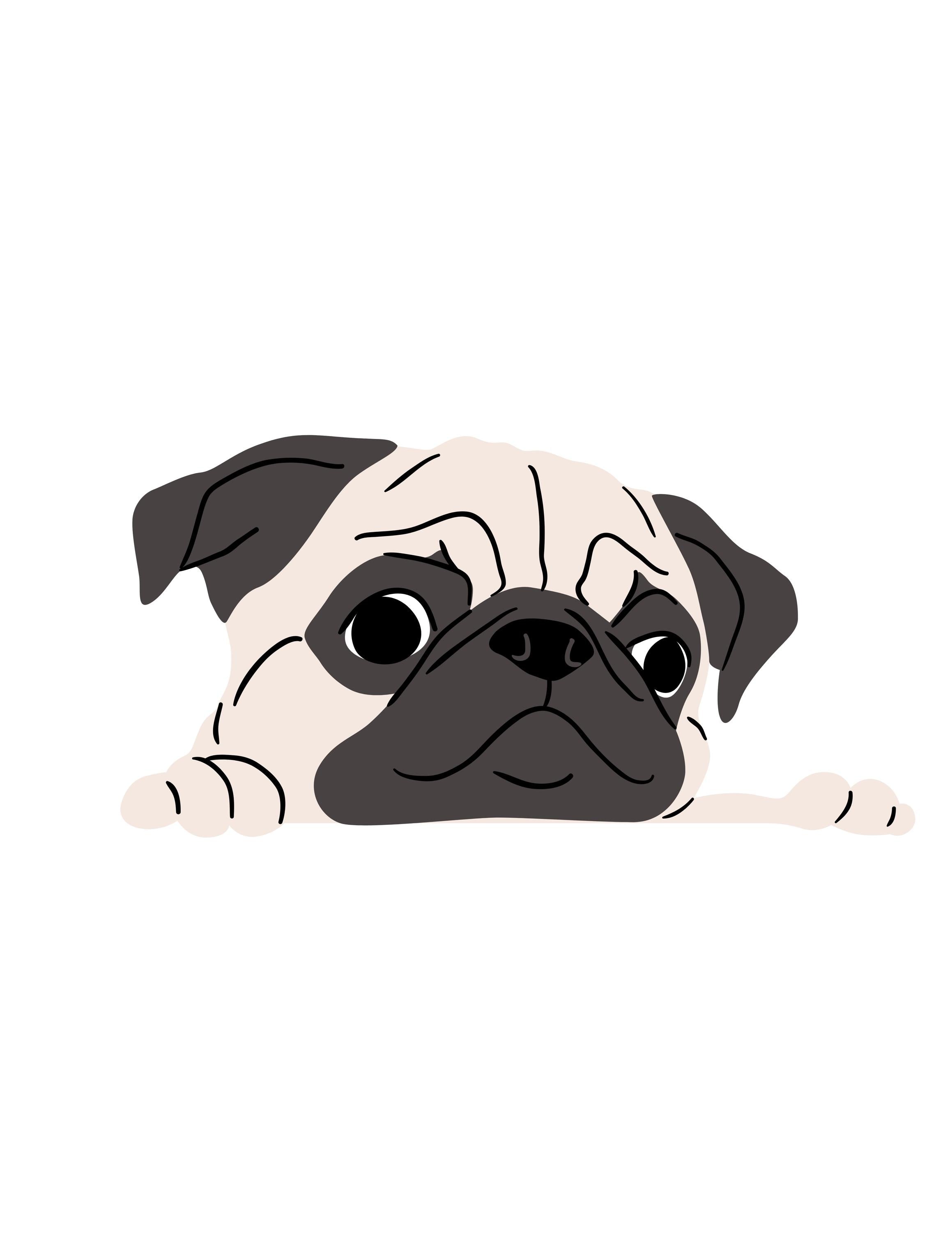 Pet Peekers sticker or magnet.  For that pet lover!