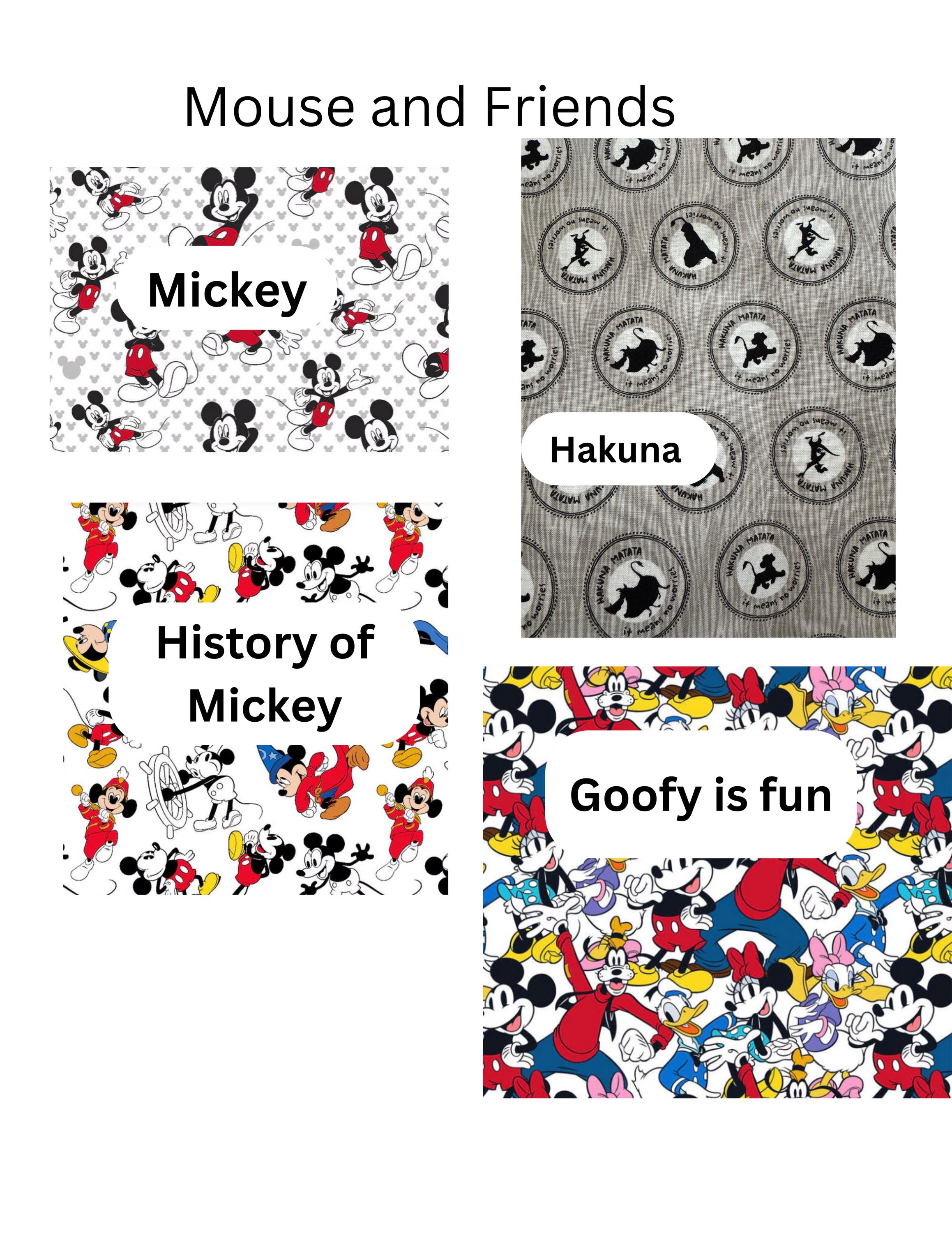 Disney Ear holders for Mickey ear headbands