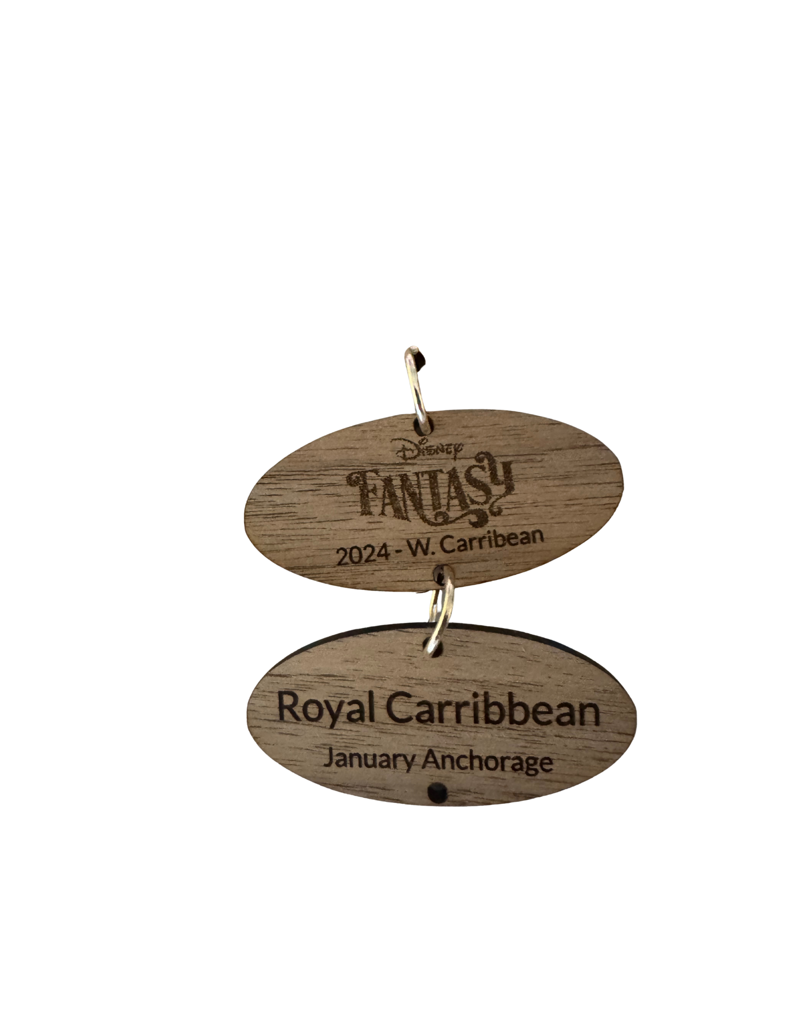 Personalized Cruise Door Magnet | Laser Engraved Walnut Ship Plaque with Tags