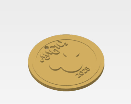 Personalized 3D Gold Coins for Disney Cruise – Pirate Night Keychain Keepsakes