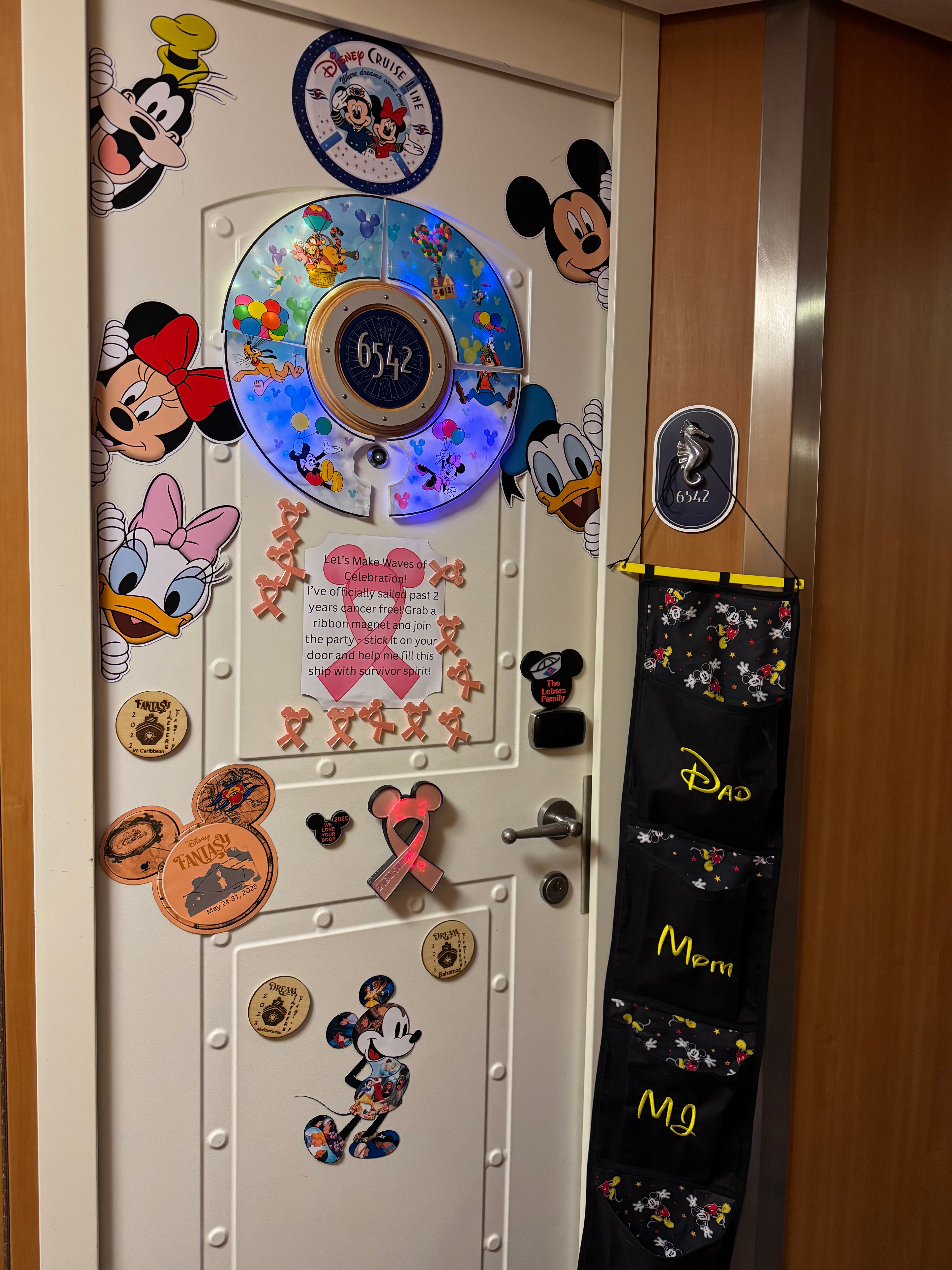 Cruise Magnets