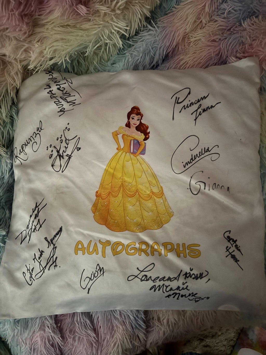 Autograph Queen or throw pillowcase Disney Character for Disney Land/world, Aulani, Disney Cruise perfect alternative to a autograph book
