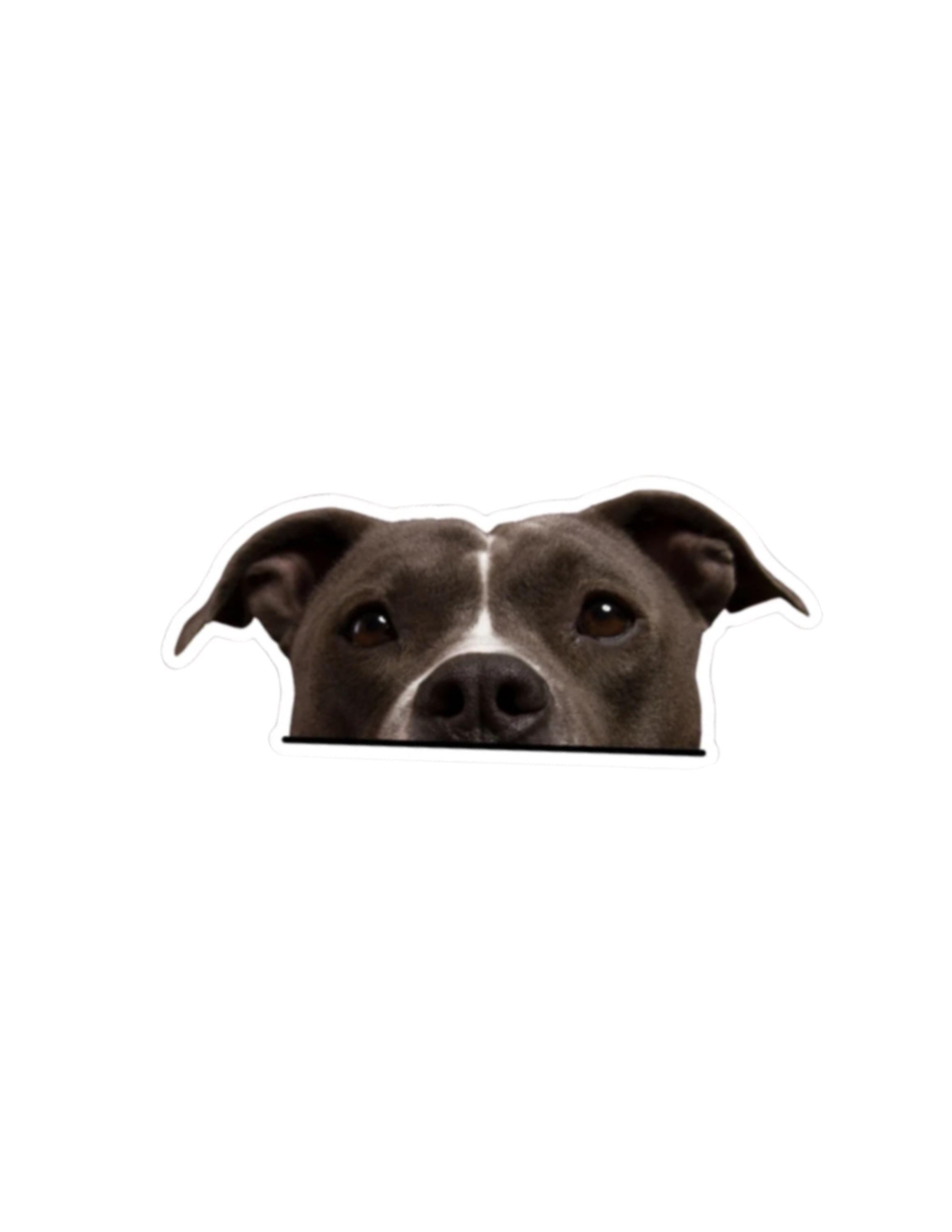 Pet Peekers sticker or magnet.  For that pet lover!
