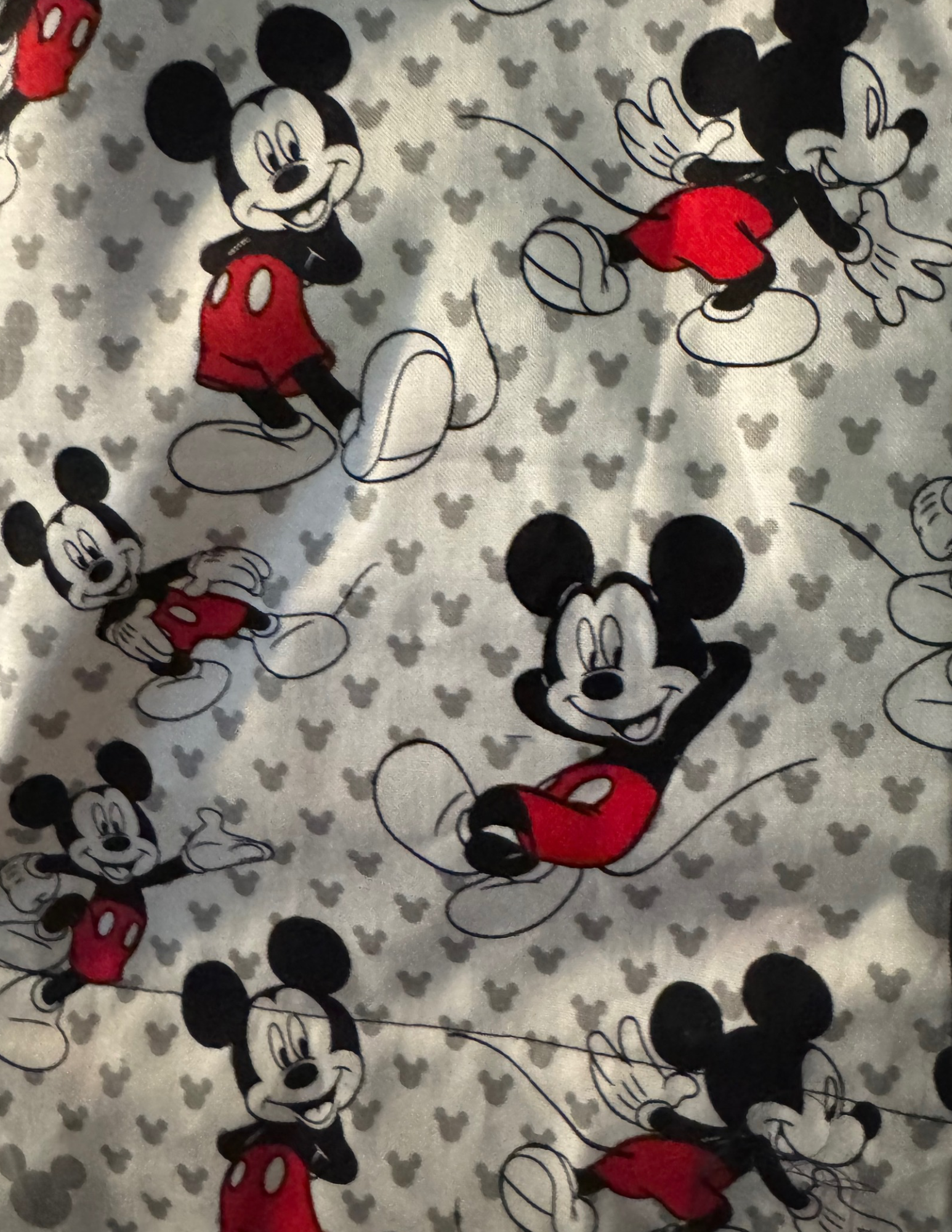 Bring Disney magic to your cruise door! Personalized Mickey fish extender with pockets, perfect for gift exchanges & Pixie Dust surprises.