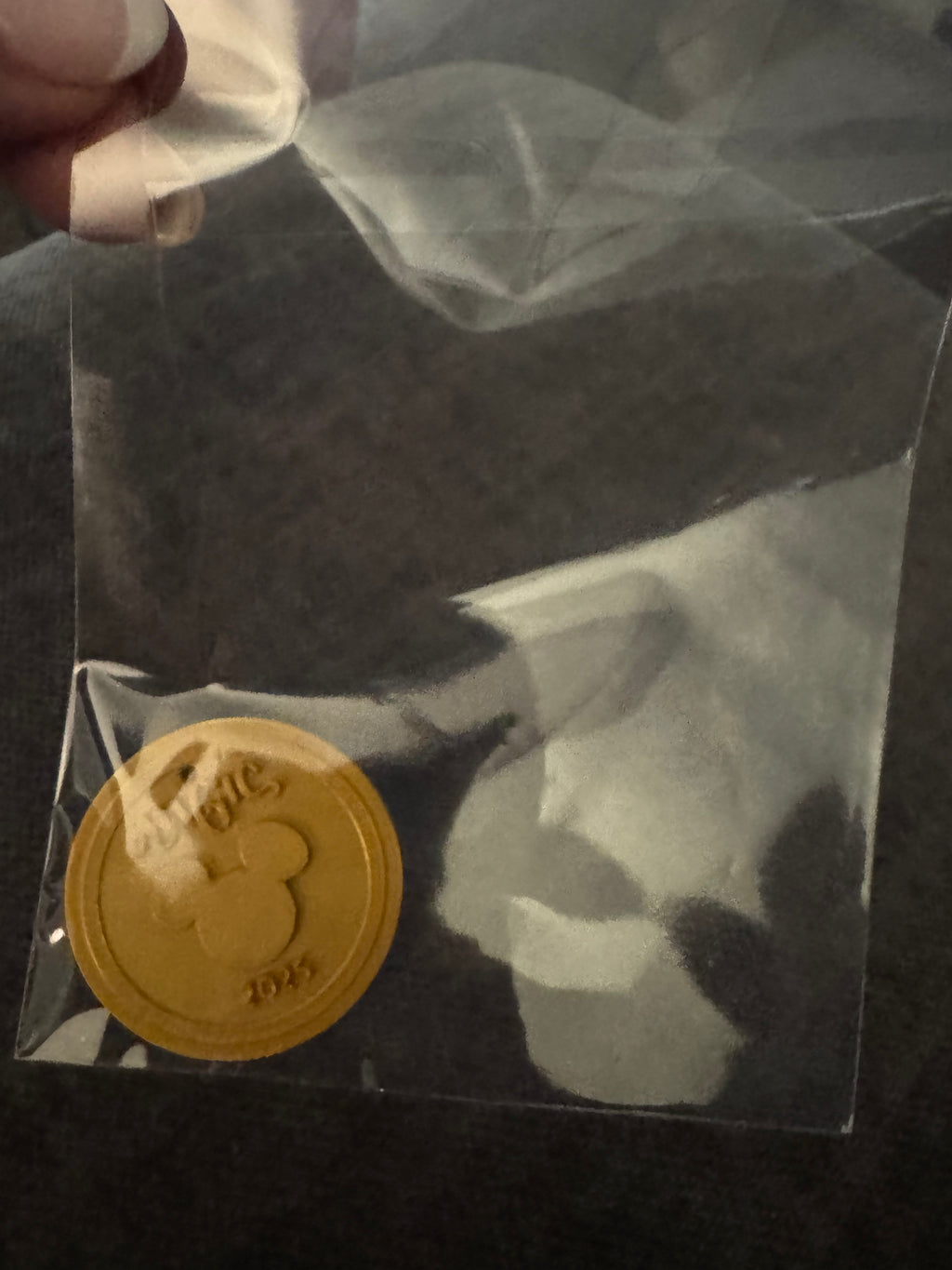 Personalized 3D Gold Coins for Disney Cruise – Pirate Night Keychain Keepsakes